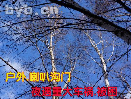 byb.cn