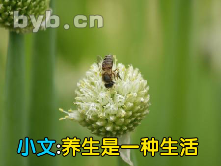 byb.cn