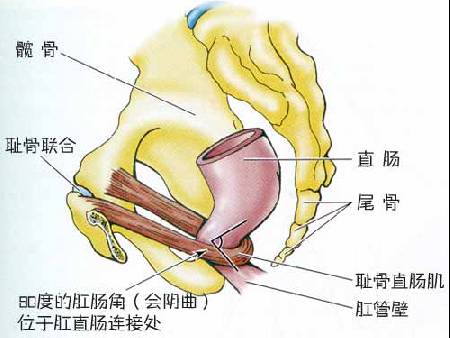 byb.cn